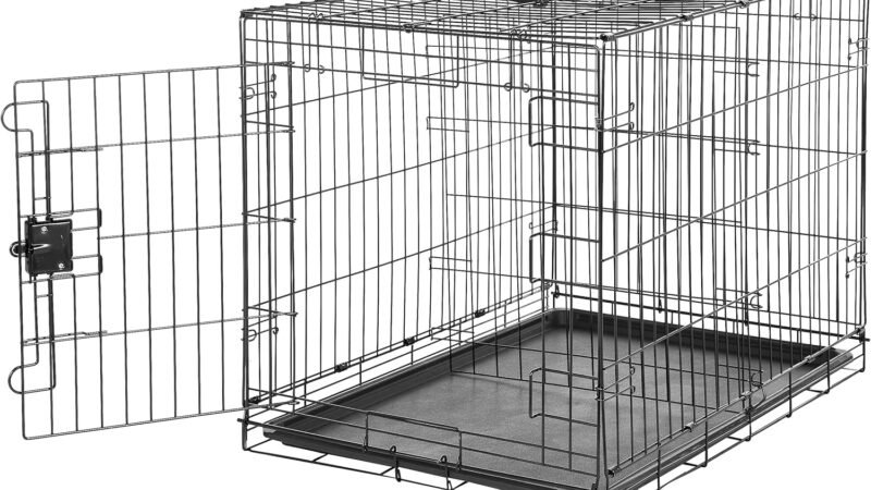 Amazon Basics Dog Crate Review