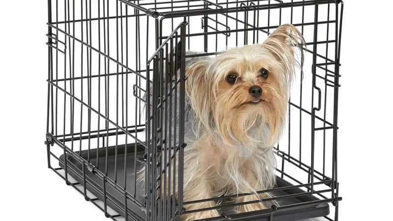 MidWest Homes for Pets Crate Review