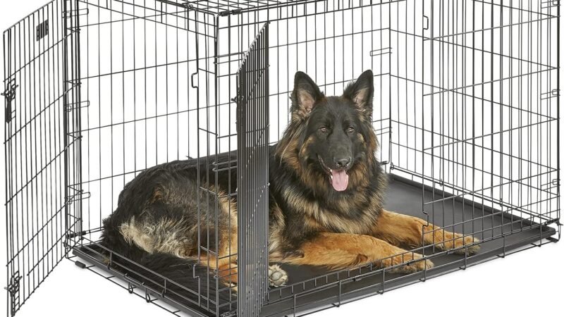 MidWest Homes for Pets iCrate Dog Crate Review