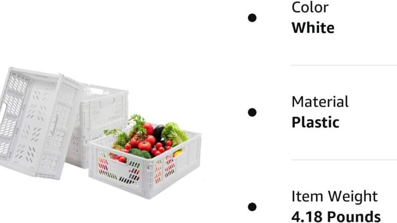 Phyllia 4 PC Baskets Plastic Review