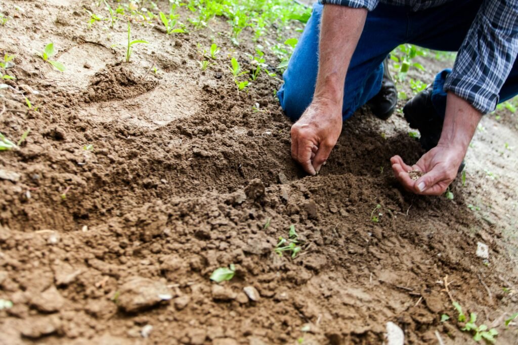 Exploring Garden Themes in Seasonal Crates