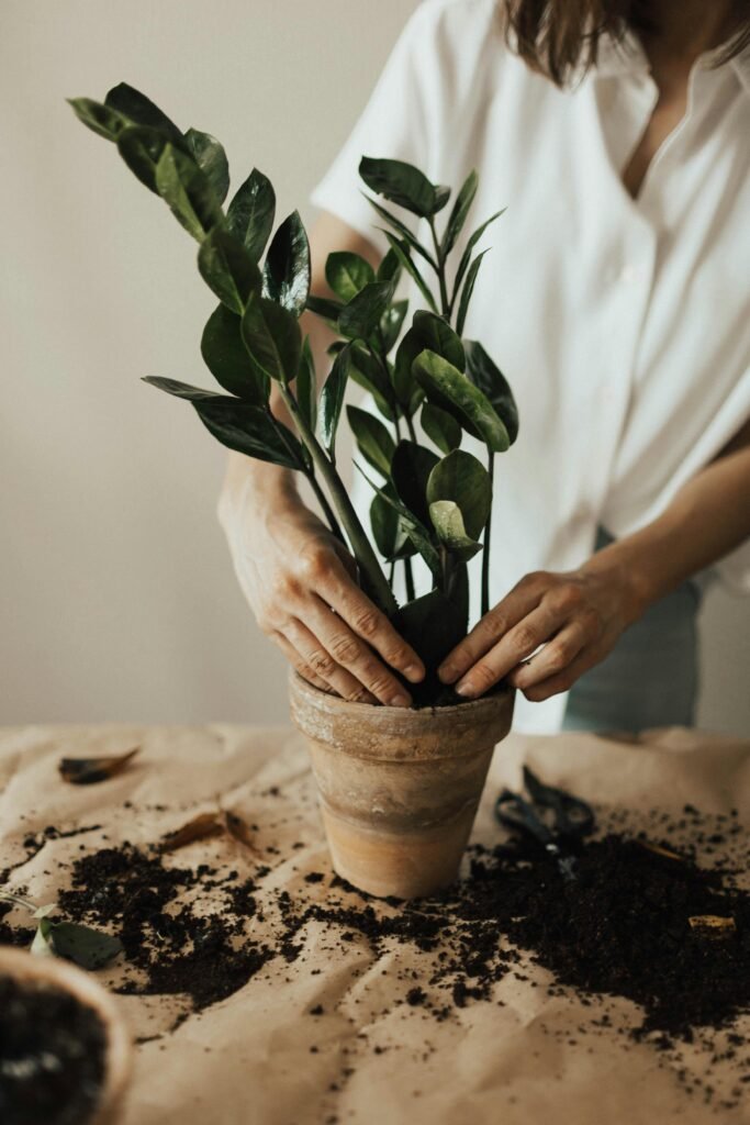 Exploring Garden Themes in Seasonal Crates